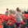 Tulipanos_kert_1558376_8949_t