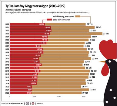 Tyúkállomány