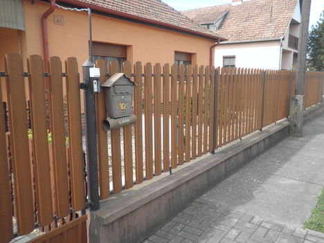 aranytölgy léces 