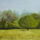 Arteri_tisztas_1559079_7716_t