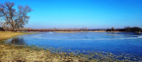 Belvíz miatt korcsolyázásra alkalmas jég a dunaszegi réten