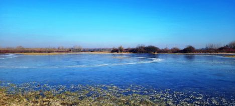 Belvíz miatt korcsolyázásra alkalmas jég a réten, Dunaszeg
