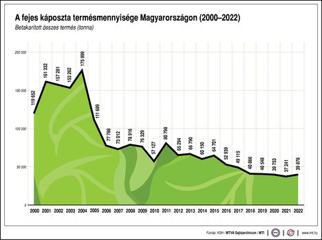 Fejeskáposzta