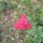 Good_evening_1559768_6997_t