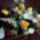 Kellemes_napot_kivanok2_1559111_7961_t