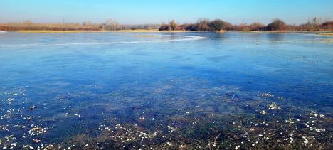 Korcsolyázásra alkalmas jég a belvízel elöntött réten, Dunaszeg