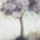 Szeptember_vege_1559023_1656_t