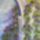 Vaszon_1-002_1559360_3066_t
