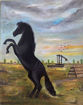 vászon 1