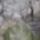 Vaszon_4_1559348_5058_t