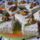 Becsi_kocka_kicsit_maskent_1505881_4547_t