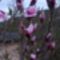 CAM02190