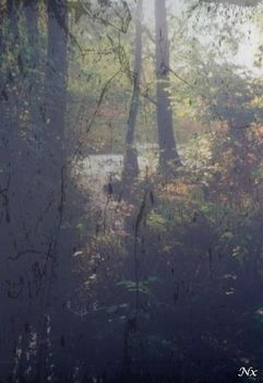 Füvészert 1 (4)