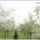 Gyumolcsos_2016_1505104_2709_t