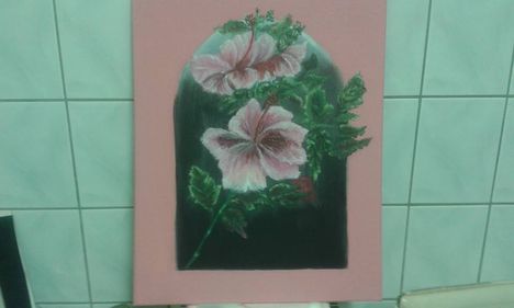 Hibiskus
