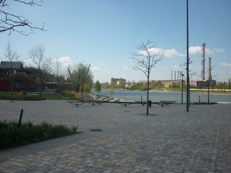 P1020866