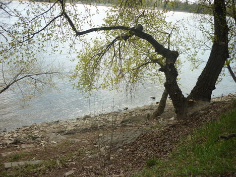 P1020873