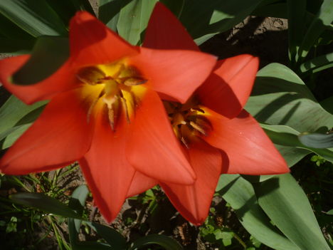 P1020909