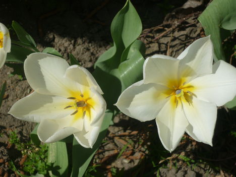 P1020911