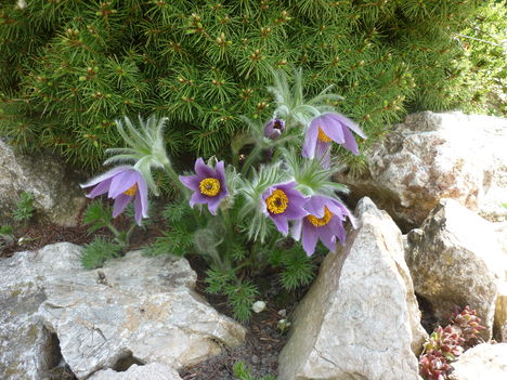 P1020914