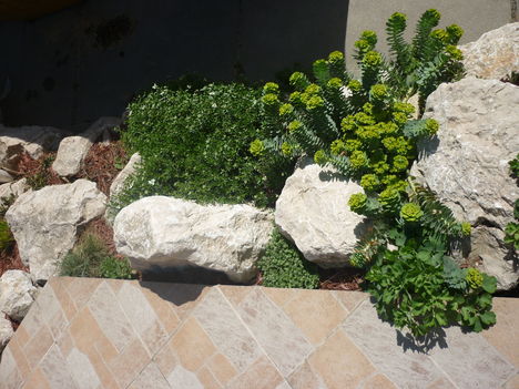 P1020930