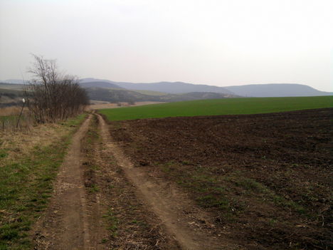 rád