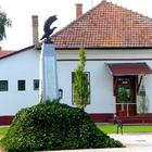 Szank 12