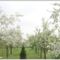 Tavasz_2016_1505104_2709_s