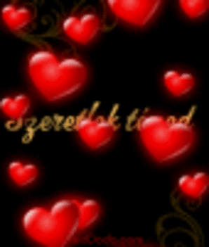 www.tvn.hu_5e86592e32cdc60fcdea48ff01266d3b_k
