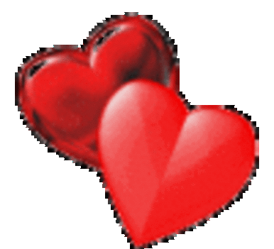 www.tvn.hu_6362121c14c22eec846b25035bc1f8d2_k