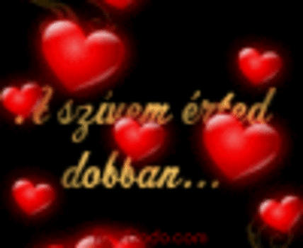 www.tvn.hu_d7eda75508a91f3dedad70926cead8b0_k