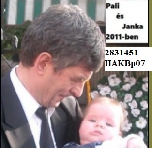 sajatkisebbrernetemenfotompalijkval2011