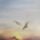 A_nappal_szallok_1560863_4149_t