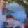 Capri_1560587_2788_t