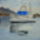 Hajoval_a_dunan_1560876_3959_t