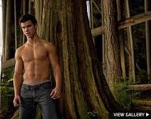 kedvenceim 8,Jacob Black