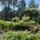 Kepek4_15_1560334_8271_t