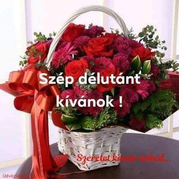 képek4. 7. 15