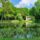 Kepek4_9_1560328_7049_t
