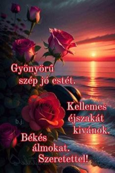 képek7 11