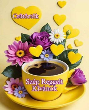 képek7 12