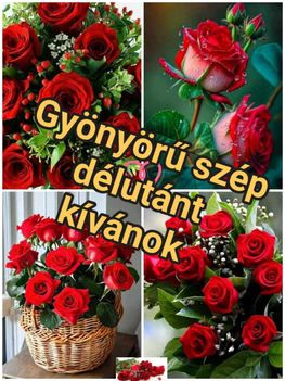 képek7 20
