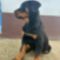 Milla_1560116_2151_s