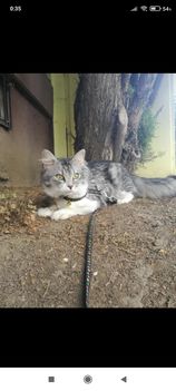 Screenshot_2024-12-14-00-35-03-217_com.facebook.katana