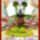 Szerkeszteseim_16_1560355_4546_t