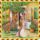Szerkeszteseim_17-001_1560525_3099_t