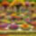 Virag_1_10_1560246_3511_t