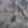 Zambo_jimmy_12_1560369_8586_t
