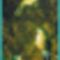 Barkóczy József - Kolibri madarak (72x29 cm.)