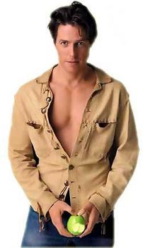 Hugh Grant 19 4121979_galHugh Grant
